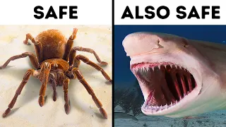 14 Scary But Not Dangerous Animals