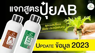 แจกสูตร แม่ปุ๋ย AB ไฮโดรโปนิกส์ และ Update ข้อมูล 2023 / ปุ๋ย AB คืออะไร มีสรรพคุณอะไร ผสมเองได้มั้ย