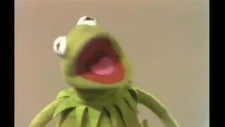 Kermit Snaps (Watch At Your Own Risk)