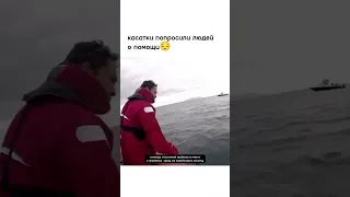 касатки попросили людей о помощи, спасти.killer whales asked people for help, to save their relative