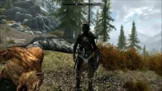 SKYRIM   " une histoire sans histoire "