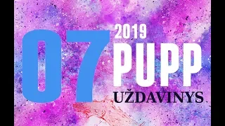07 uždavinys | PUPP 2019