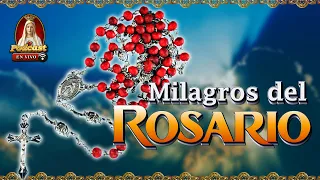 Milagros del Santo Rosario🌟 Testimonios de Fe🎙️16° Podcast Caballeros de la Virgen en Vivo🔴