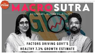 What are the factors behind government’s healthy 7.3% growth estimate?