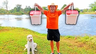 STOCKING POND With BLUEGILL, BREAM, RED-EAR, and SHELLCRACKERS!