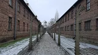 #3-1 Аушвиц-Биркенау (Освенцим) - Резиденция смерти