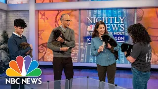 Adopting a puppy? We tell you what you need to know | Nightly News: Kids Edition