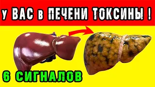 6 ТРЕВОЖНЫХ СИГНАЛОВ о том, Что у ВАС  в ПЕЧЕНИ ПОЛНО ТОКСИНОВ 👍 ПРИМИТЕ МЕРЫ, пока НЕ ПОЗДНО !