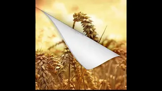 128. Началось отделение пшеницы от плевел, грехов, твердынь!!!