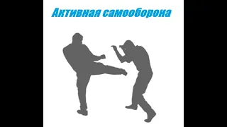 Фрагменты Курса "Активная самооборона". Стратегия и тактика гражданской самообороны.