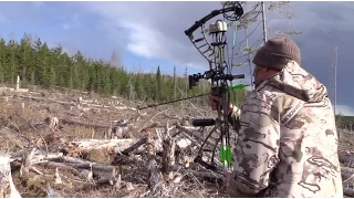 Nock On TV - Bowhunting with One Arm for Grizzly Bears