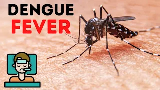 Dengue fever symptoms diagnosis treatment | Dengue fever in Hindi