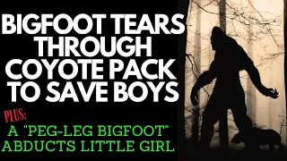 Saved by Bigfoot - Two Boys Pinned Down By A Pack Of Coyotes Saved!