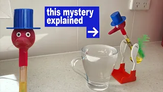 The Dunking Drinking Bird // explaining the science