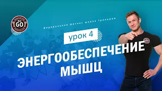 Энергообеспечение мышц - урок 4 (углеводы и гликолиз)