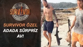 Survivor Adasında Sürpriz Av! | Survivor Özel