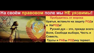 Шойгу С. К. за СССР / У полицейских НЕТ полномочий!