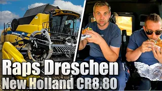 RAPS Ernte im NEW HOLLAND CR8.80 & Ich fahre einen Fendt 930 mit HAWE ÜLW: Besuch bei Landwirt in MV