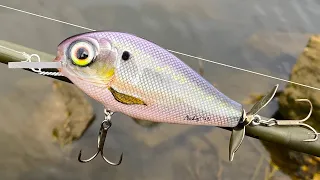 Making a Propeller Tail CrankBait