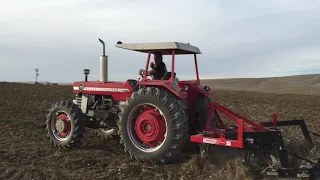 Massey Ferguson  1080