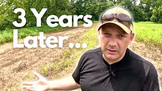 I Tried NO TILL Food Plots and This Is What Happened