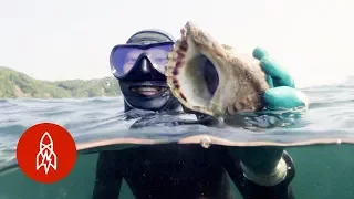 Freediving With Japan’s Pearl Divers