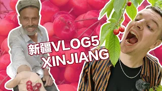 XINJIANG VLOG5 - Cherries and Camel Milk in Kashgar / 新疆VLOG5 樱桃烤鱼驼奶馕，莎车是个好地方