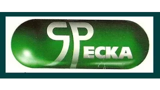 Specka - Guitars - 1996  [DJ Rafis]