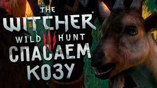 Прохождение The Witcher 3: Wild Hunt #13 - Спасаем Козу