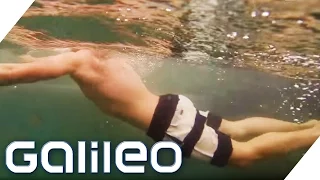 Swimming Pool mit Natur-Feeling | Galileo | ProSieben