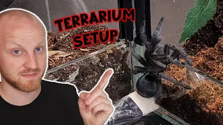 Grammostola Pulchra Terrarium Setup [Brazilian Black Tarantula]
