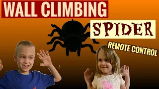 Halloween Wall Climbing Spider Remote Control