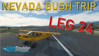 Microsoft Flight Simulator 2020 - Nevada Bush Trip - Leg 24