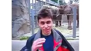 If me at the zoo was in 2019