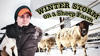 Snow Storm on the Sheep Farm | Winterizing for WINTER STORM URI in Texas