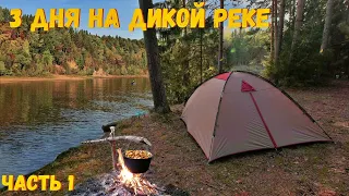 ЛУЧШИЙ отдых на дикой реке. Готовим шашлык на природе. Строим лагерь. 1 серия.