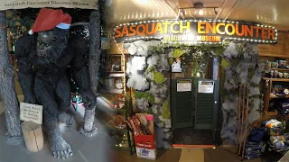 The Sasquatch Outpost, BIGFOOT Museum in Bailey, Colorado