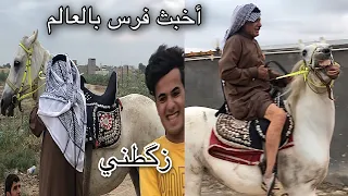 فرسان اصيلة تعود الى سلالة عربية شاهد ذكاء الحيوان بينه وبين الراعي