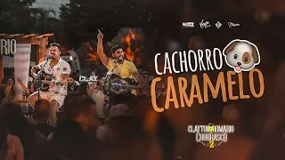 Clayton & Romário - Cachorro Caramelo (BOIADEIRO AUSTRALIANO)