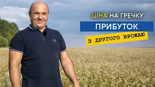 Гречка, як отримати прибуток з другого врожаю. Ціни, врожайність, особливості вирощування гречки.