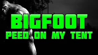 A BIGFOOT URINATED ON MY TENT