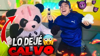 ¡DEJÉ CALVO A MI AMIGO PANDA! Bromas pesadas de TikTok a Yolo Aventuras - YOLO