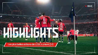 LOSC VS Lorient (3-1) : GOALS & HIGHLIGHTS⚡️⚡️