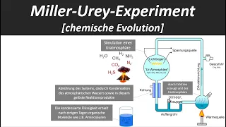 Miller-Urey Experiment [Hypothese zur Entstehung des Lebens, chemische Evolution] - Biologie