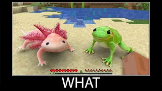 Minecraft wait what meme part 138 realistic minecraft Axolotl and Frog