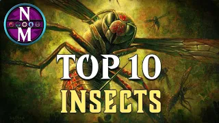 MTG Top 10: Insects | Magic: The Gathering | Episode 375