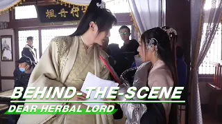 Behind-The-Scene: Throw Herbal Lord Down On The Bed | Dear Herbal Lord | 亲爱的药王大人 | iQIYI