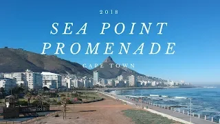 Cape Town | Seapoint & Mojo Market