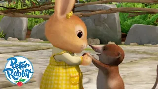 ​@OfficialPeterRabbit- ​ Sharing is Caring ❤️🧡💛💚💙💜 | Be Kind to Others 🤝| Cartoons for Kids