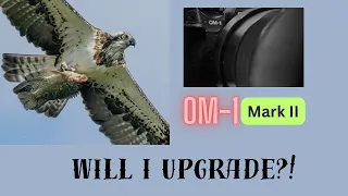 OM-1 Mark II | Is the Upgrade Worth It?